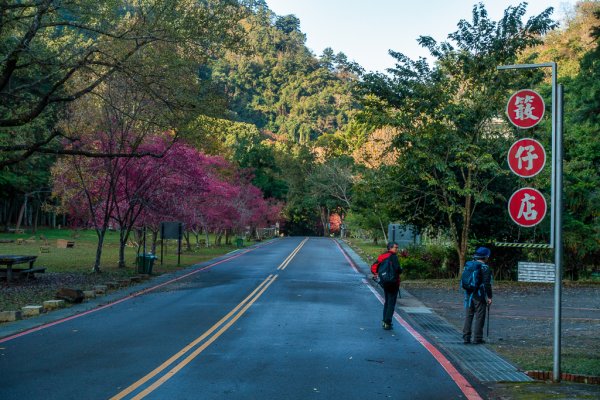 2025-02-07 北港溪峽谷步道2708286