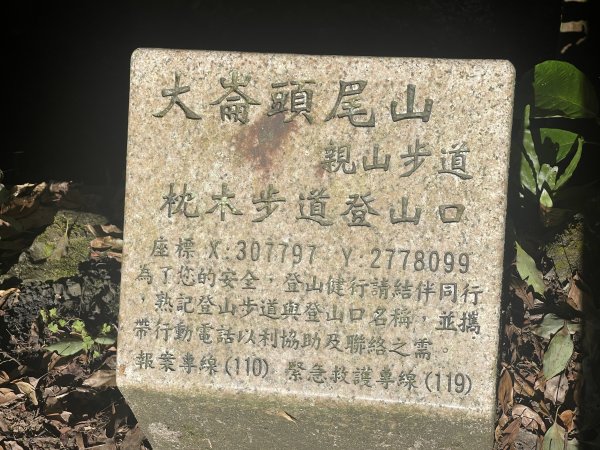 小溪頭環狀步道2649894