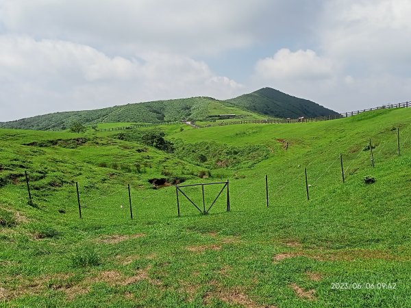 金包里大路(擎天崗至上磺溪停車場段)【走遍陽明山】2174788