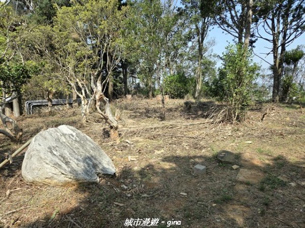 【苗栗頭屋】墨硯山步道3011355