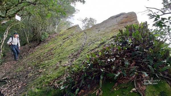 古坑嘉南雲峰.好望角.石壁山O形1500455