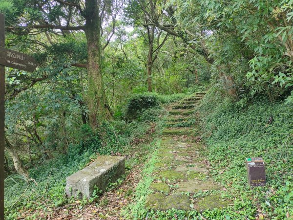 清涼步道［二子坪~清天宮］（2023/8/7）2243944