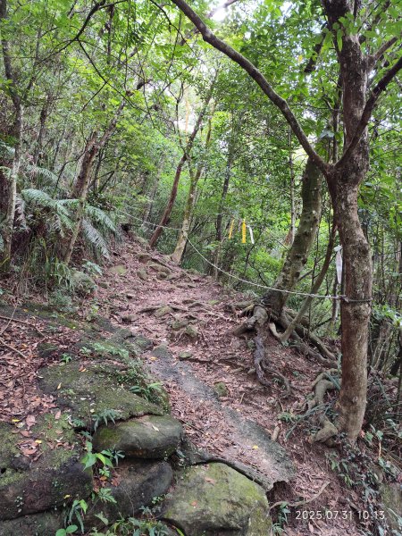 大湖公園→大溝溪生態治水園區→圓覺寺步道→圓覺瀑布→圓覺寺→鯉魚山步道【臺北大縱走 4、臺北健走趣】2849118