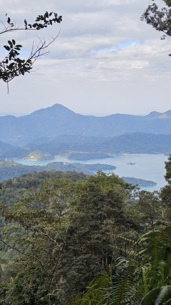 【中級山經典：水社大山、水社主峰】🥾4小時53分的征途，汗水與意志的考驗。2982561