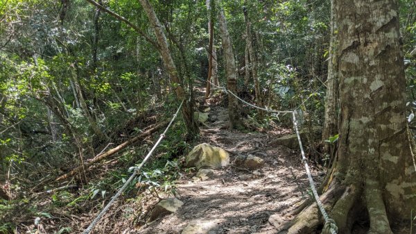 蝴蝶谷瀑布步道｜唐麻丹山登山步道 (松鶴部落上)1900088