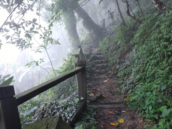 崁頭山步道1007165