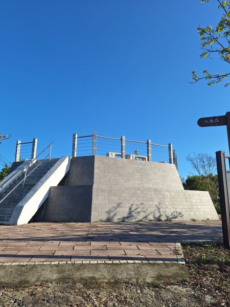 八角崠山+協雲宮櫻花步道202502152712851