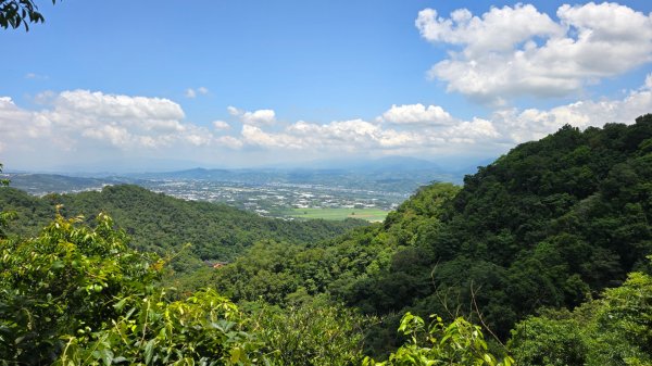台中大坑頭嵙山（大冠鷲／木蜂／五色鳥／血藤花／鳳凰花）2785510