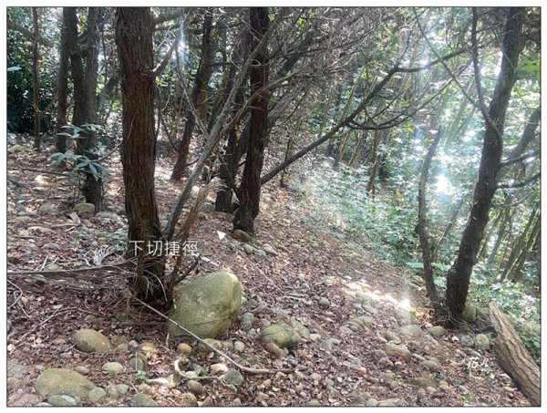 乞食崙 ( 台中/大肚山 )2937410