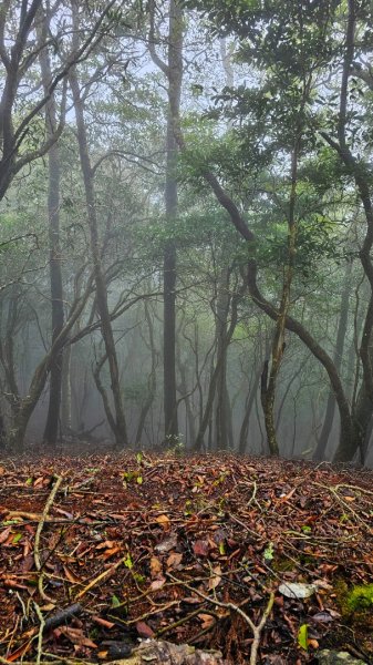 112.04.08 油羅山2123586