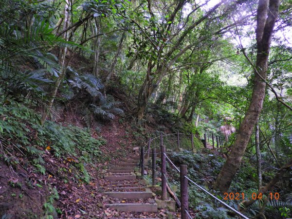 苗栗 南庄 小東河山1342209