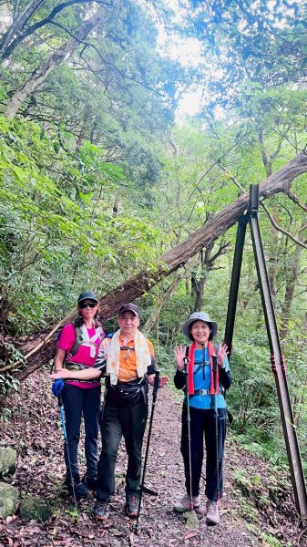 🌈7/5（日）東滿縱走（東眼山~滿月圓）FB：熊熊趴爬走(富裕登山社)🌈3082870