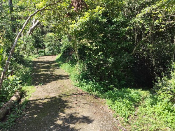 關西赤柯山、東獅頭山步道（玉山太元宮中元）2881678