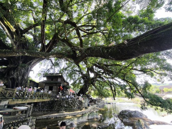 【中國健行】福建廈門：花磚古厝與蔚藍海岸2822890