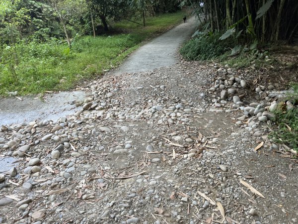 [百山百鳥尋旅-04/15] 2025_0817 龍過脈森林步道2863232