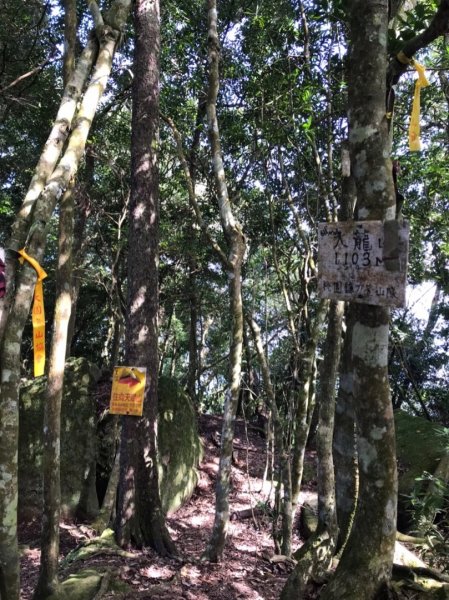 南庄龍❤️、向天湖山、光天高山、大龍山、小東河山2333952