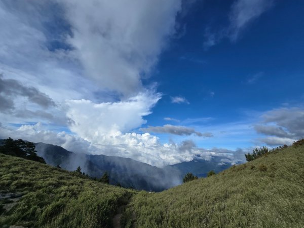 志佳陽大山（回程走高繞環山獵人登山步道）2542196