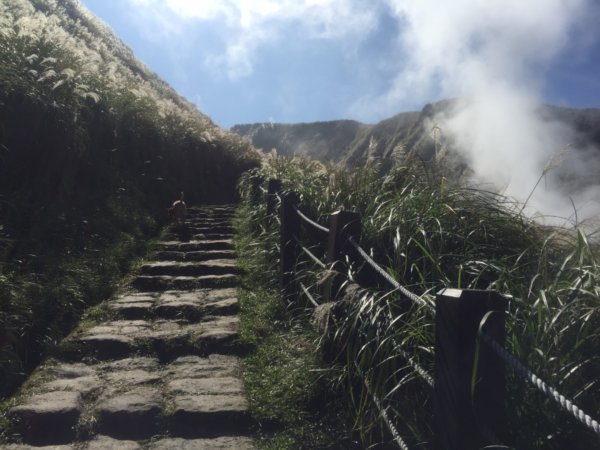 毛孩米奶登山去-七星山主峰、東峰737967