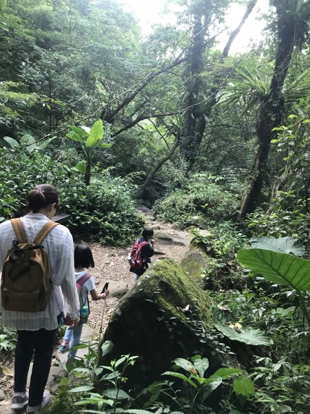 青山瀑布玩水去1024247