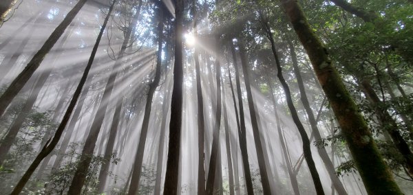 大雪山系-長壽山親子健行路線1864632