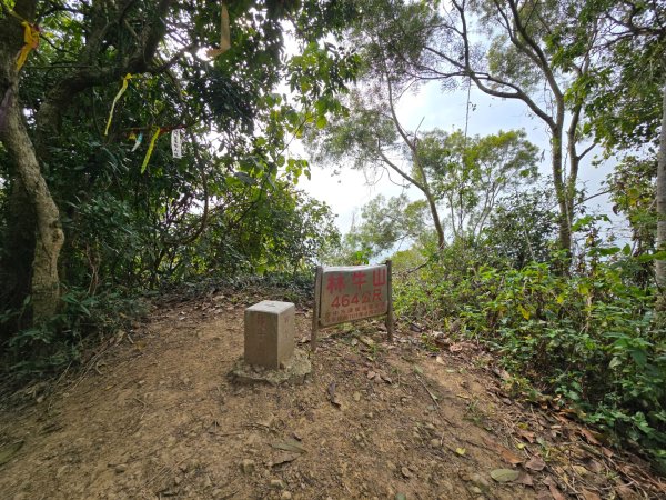 林牛山+聚興山2709934