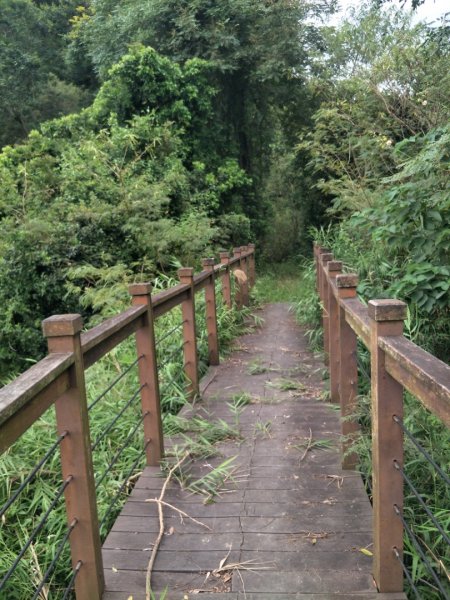 林安森林公園步道(大寮山步道)1464947