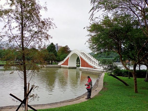 大湖公園 (防災公園)【走路趣尋寶】1899876