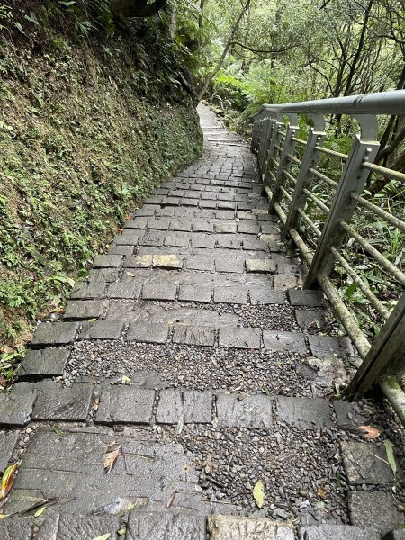 翠山步道 + 碧溪步道 + 大崙尾步道2649941