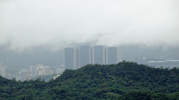 汐止八連路1716771