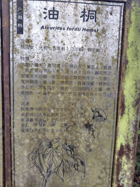 鳳鳴古道 鳳鳴山 南隘勇（南長城）古道 三湖山 八達嶺（龍骨）古道 綠色古道 延平古道2975284