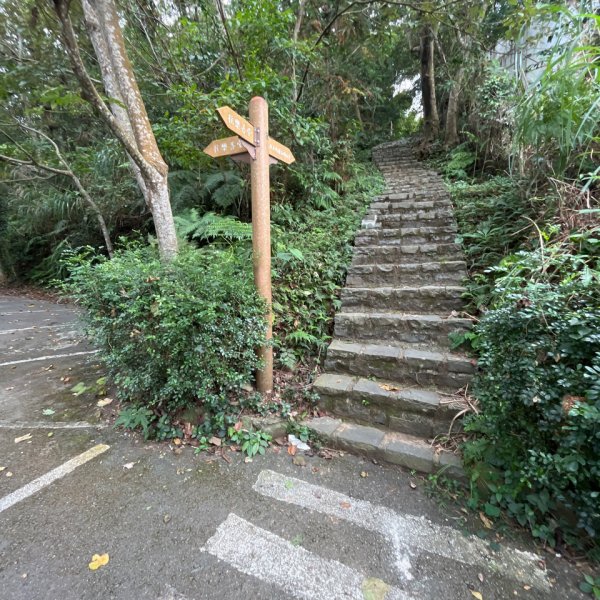 20231102_關西赤柯山（森遊竹縣）2762970