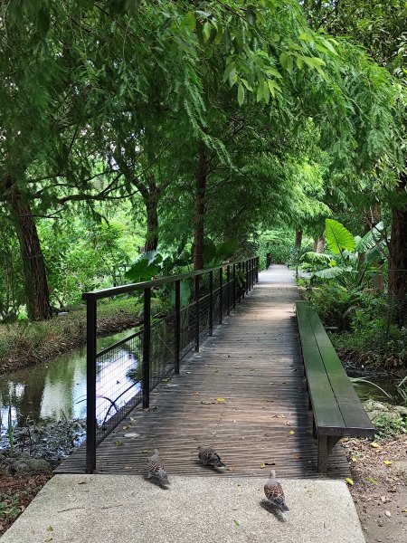 大安森林公園【走路趣尋寶】【臺北健走趣】2578223