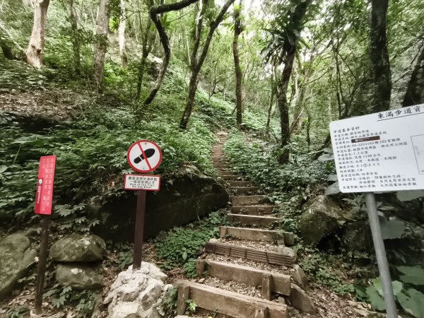 [百山百鳥尋旅-09/15] 2025_0920 滿月圓國家森林遊樂區步道群2893056