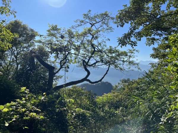 竹子尖山步道｜梅峰古道上～梅龍步道下1816781