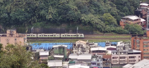 2026/03/01-紅淡山步道3010073