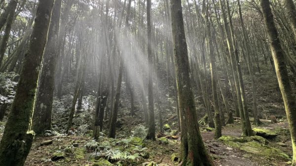 20240825小百岳稍來山2584152