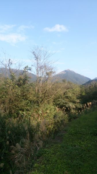 貂山古道-燦光寮山-半屏山-無耳茶壺山 271551