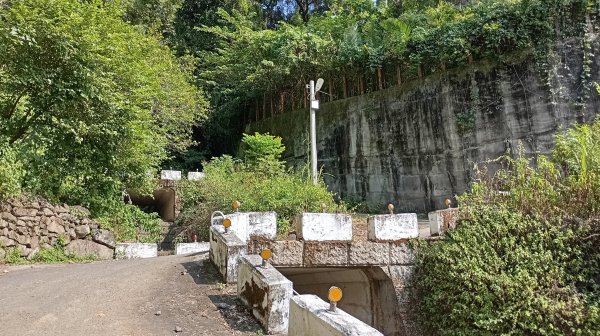 台中和平區大茅埔山3129193