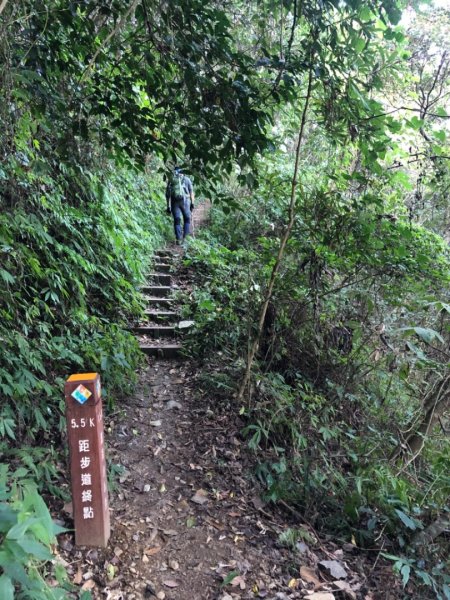 臺中 和平 馬崙山1150932