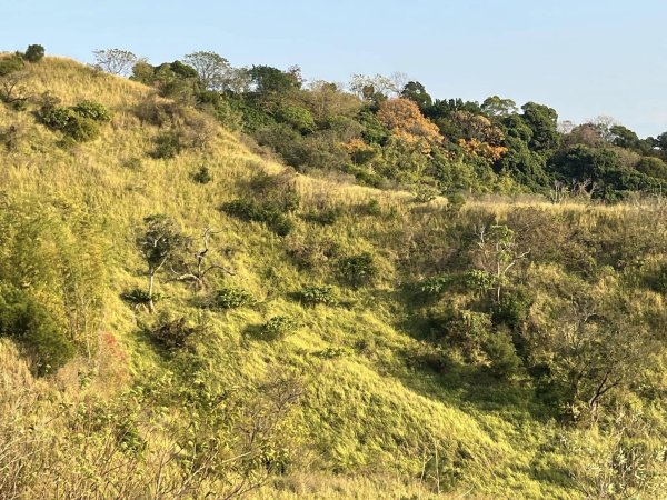 知高圳步道2711603
