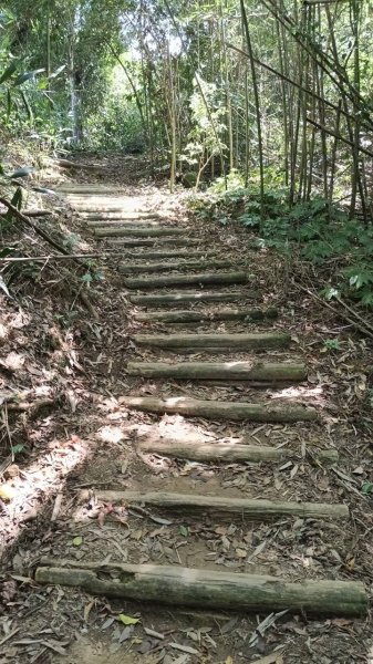 20251004 馬那邦山 - 珠湖 登山口2904911