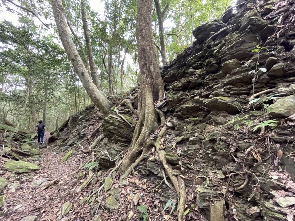 小百岳｜高雄茂林鳴海山1606728