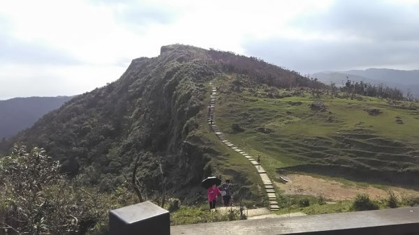 2019 3/2 草嶺古道 桃源谷853685