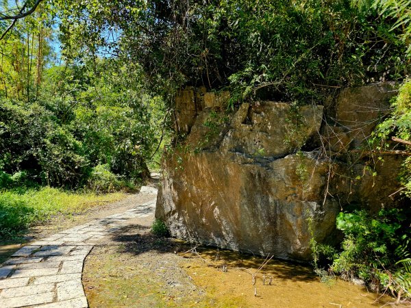 東河橋遊憩區步道-2025漫遊縱谷愛在花東-台東縣東河鄉2916695