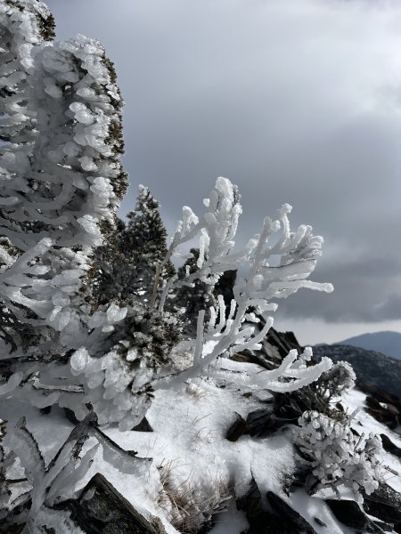 八大秀雪攀初體驗，銀白色中央山脈2413140