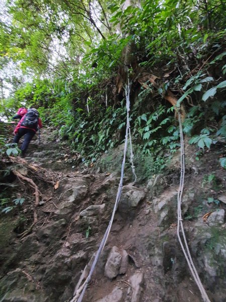 【溪頭】小百岳-鳳凰山1555620