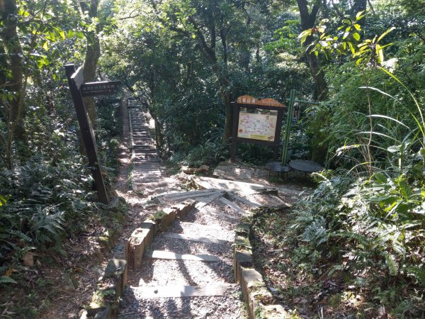 貓空隨意行［樟湖步道、待老坑山、杏花林、明德宮、樟山寺］及政大小坑溪親水文學步道(2021/4/6)1417881