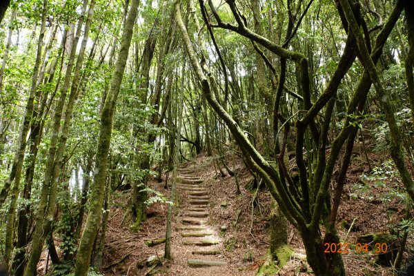 臺中 和平 鞍馬山1697273