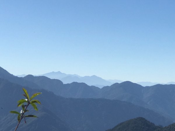 大雪山200林道北三錐山736913