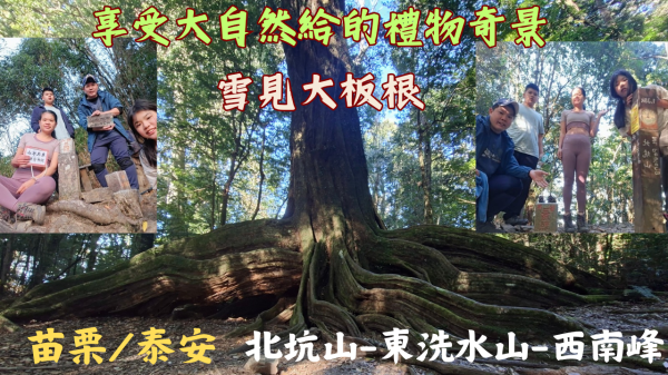 115.01.11苗栗／泰安  享受大自然給的禮物，奇景-雪見-大板根-北坑山-東洗水山）